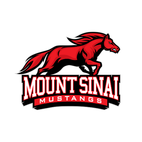 Mount Sinai Middle School